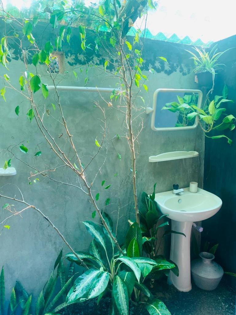 Malabar Home Stay Jaffna Oda fotoğraf